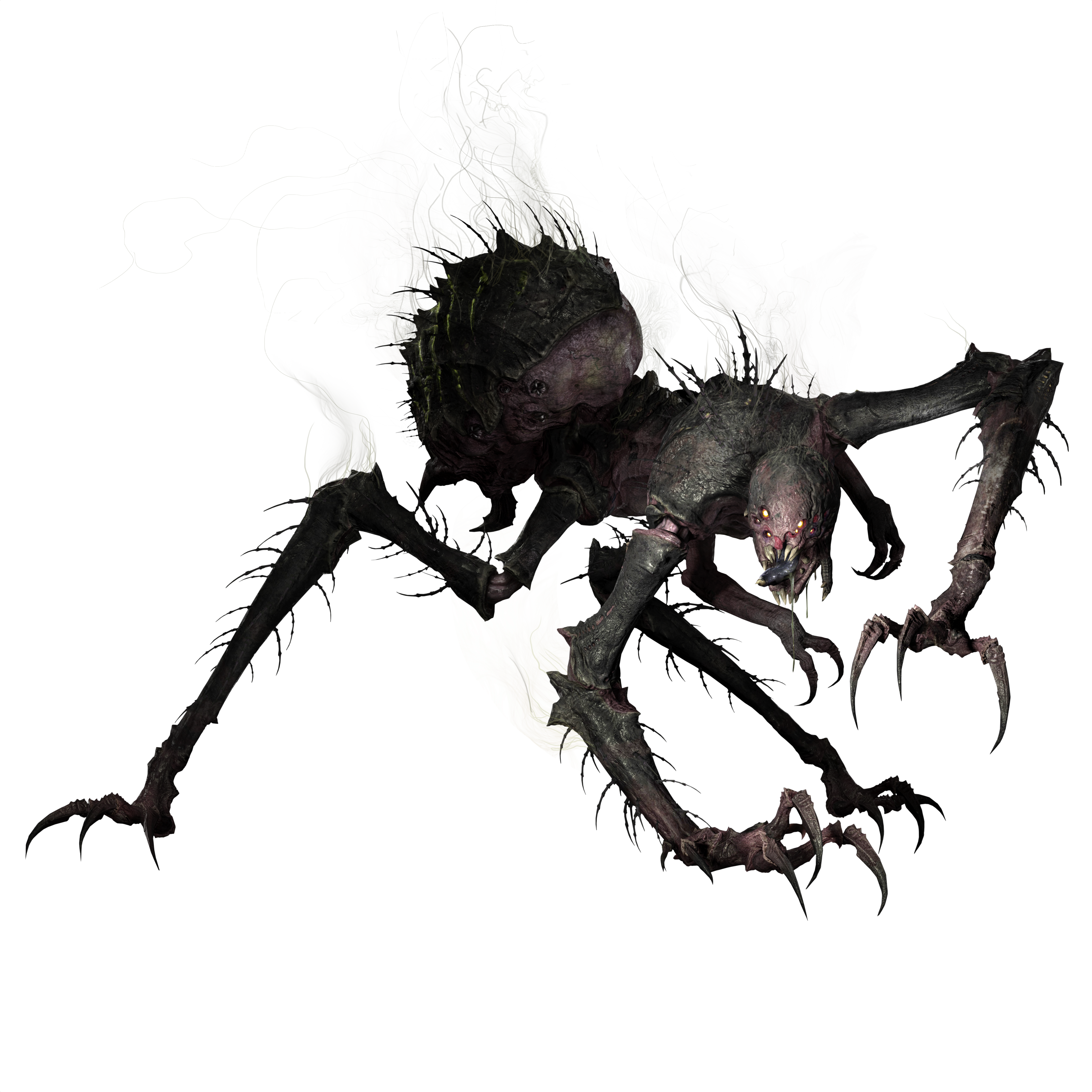 Gorgon