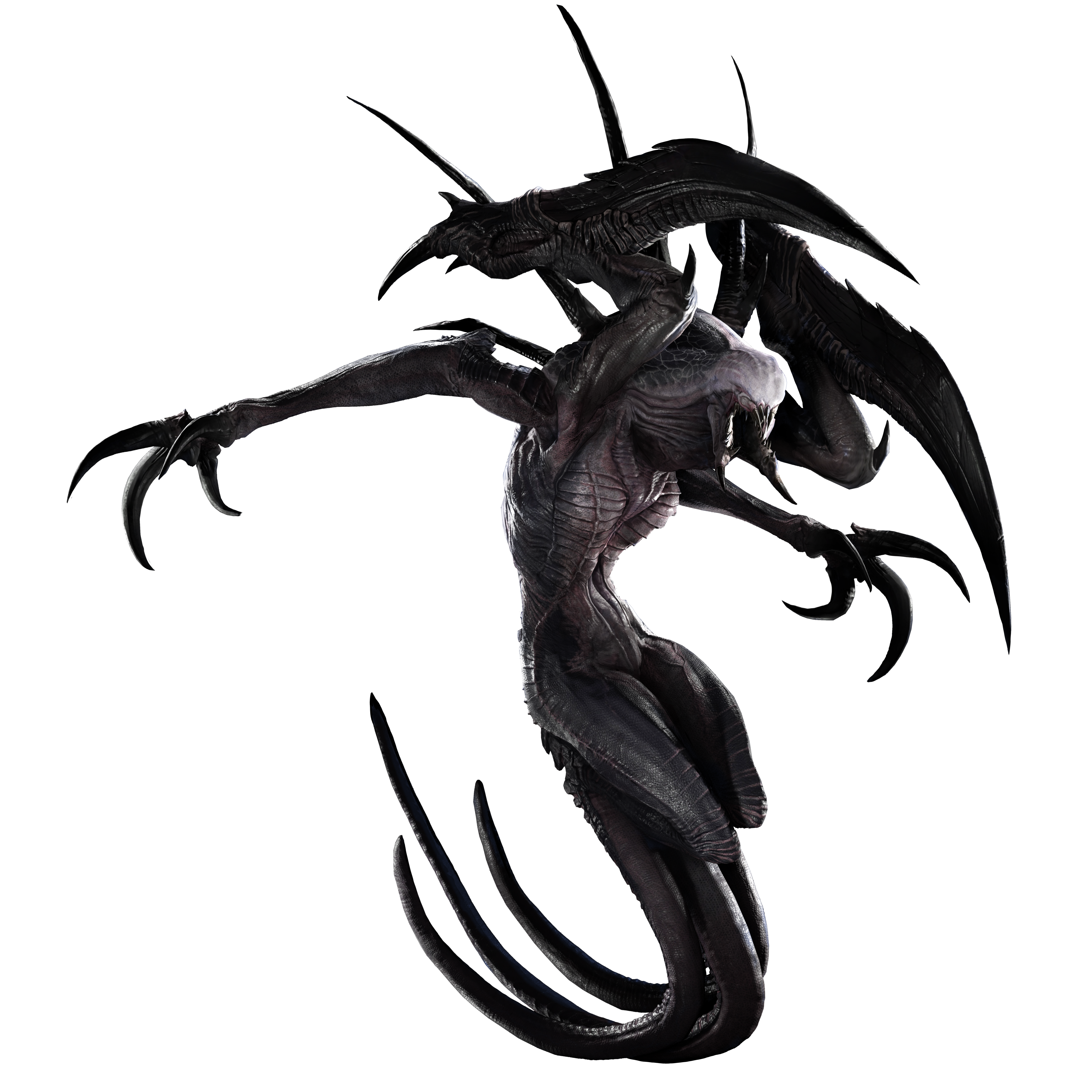 Wraith