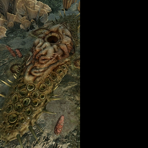 effects carnivorous plants
