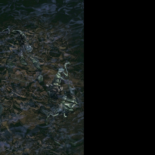effects eels