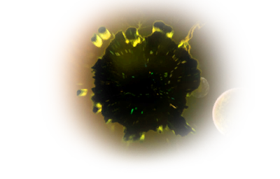 effects radiation
