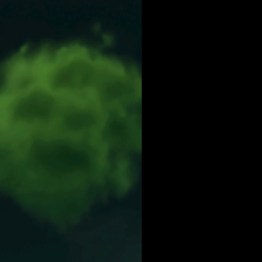 effects radioactive cloud