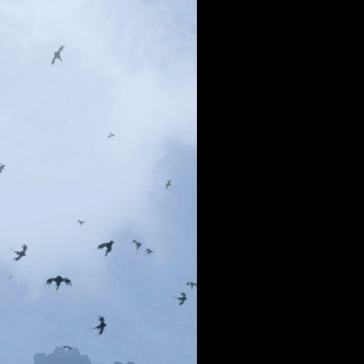 effects trained birds