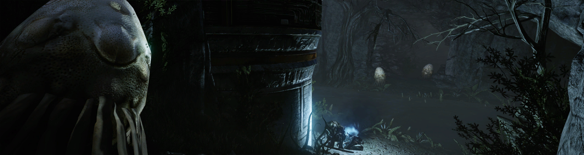 forest ruins nest