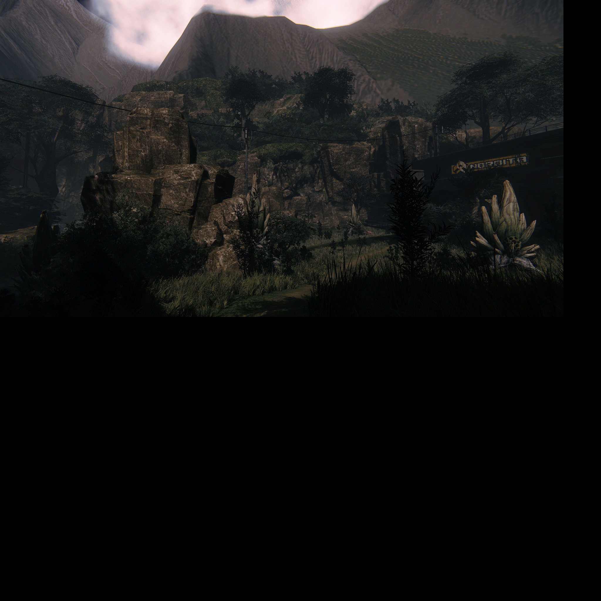 fullscreen forest rapids