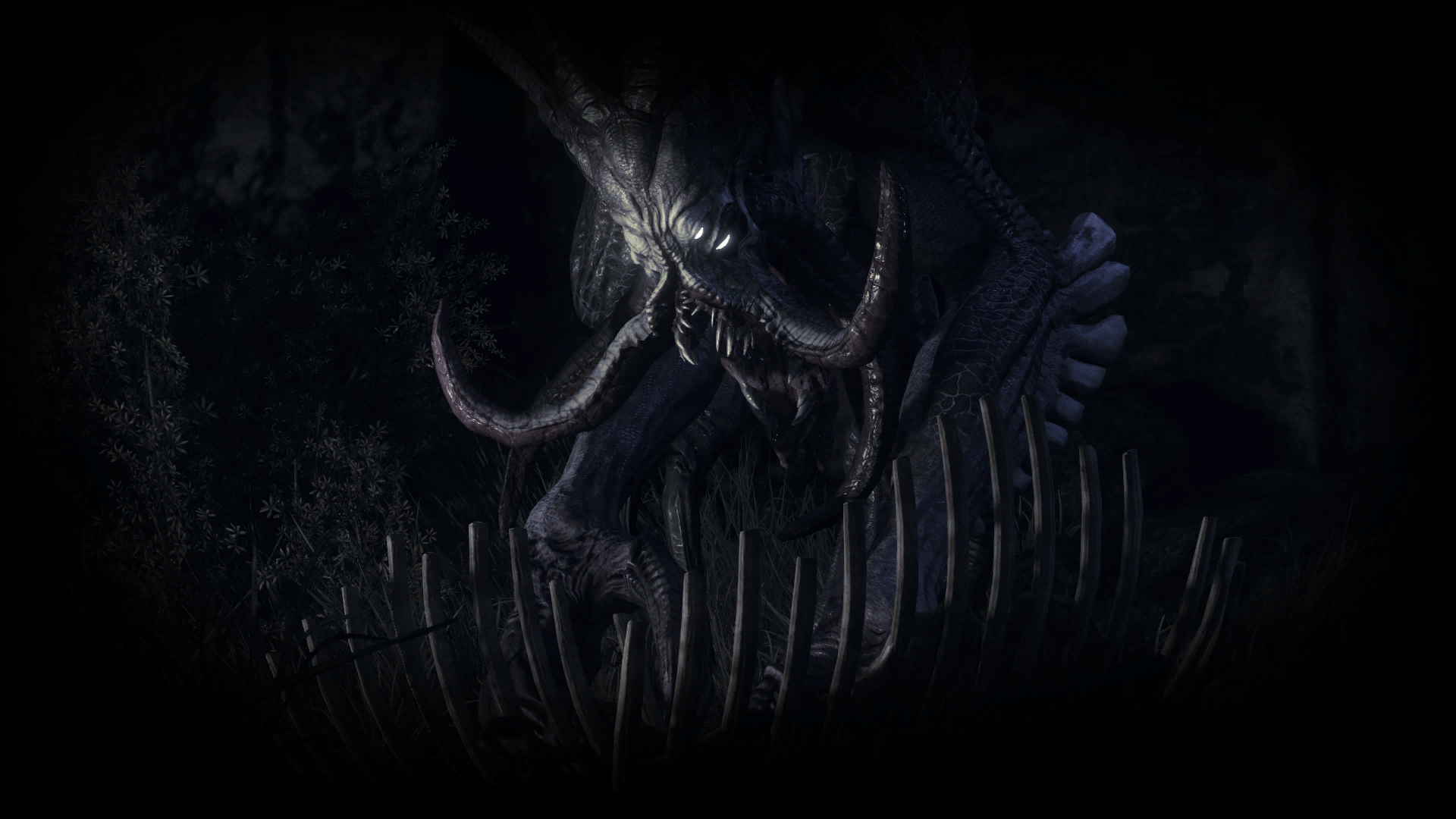 kraken bg10
