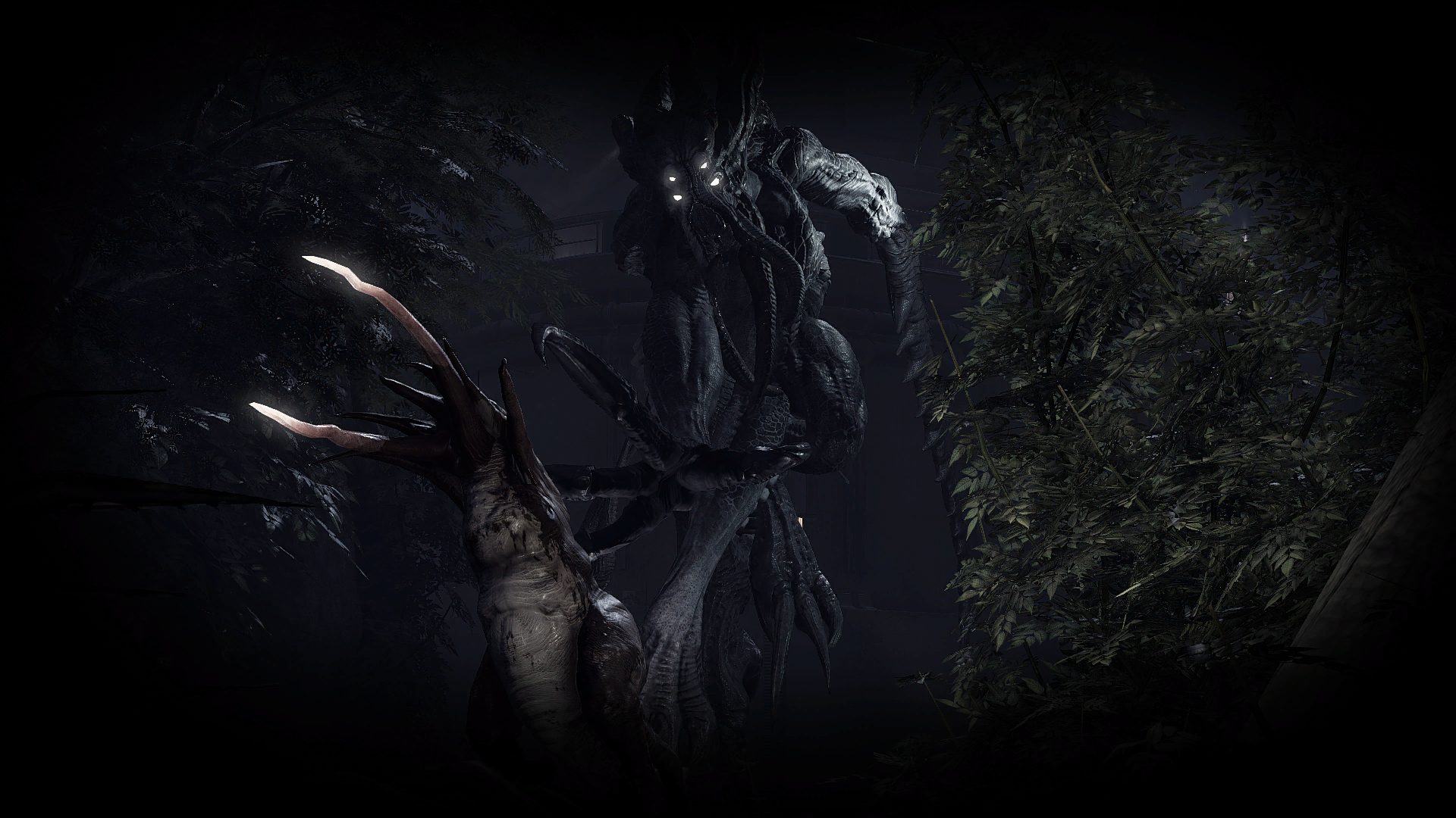 kraken bg6