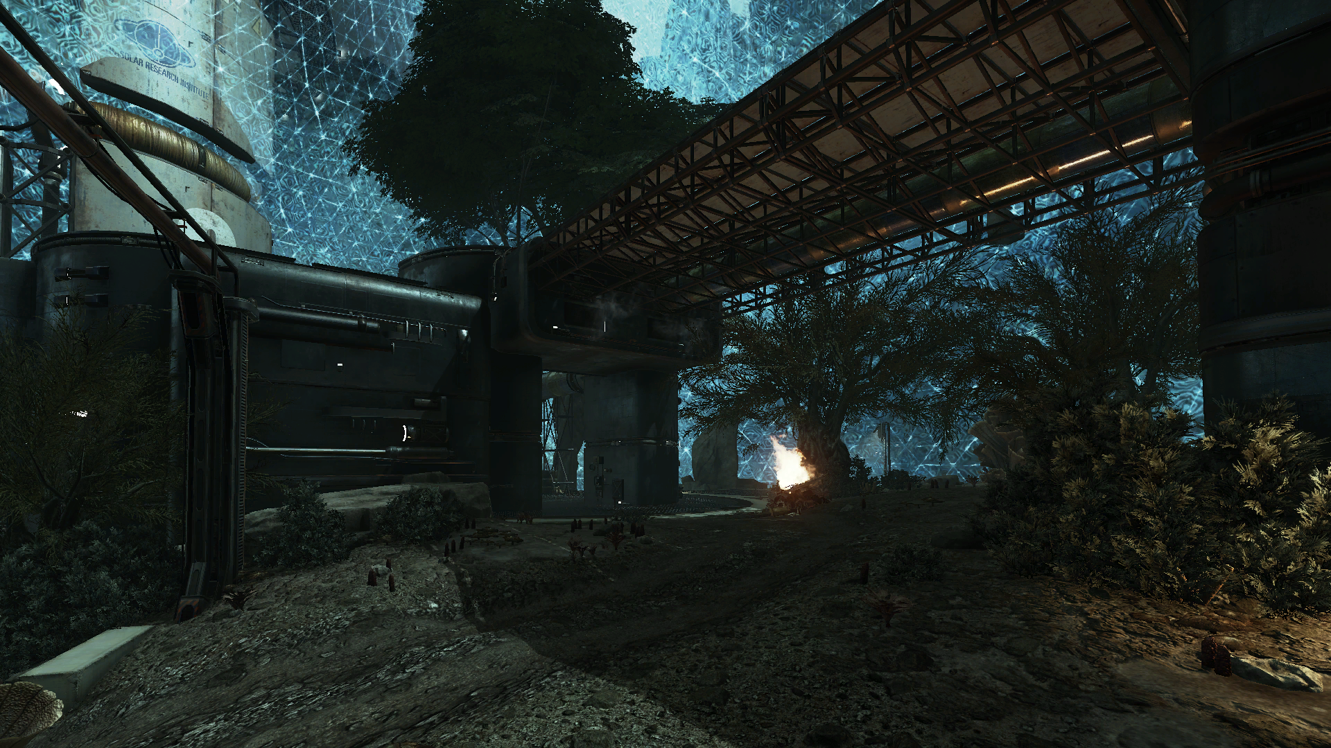 arena forest cliffs