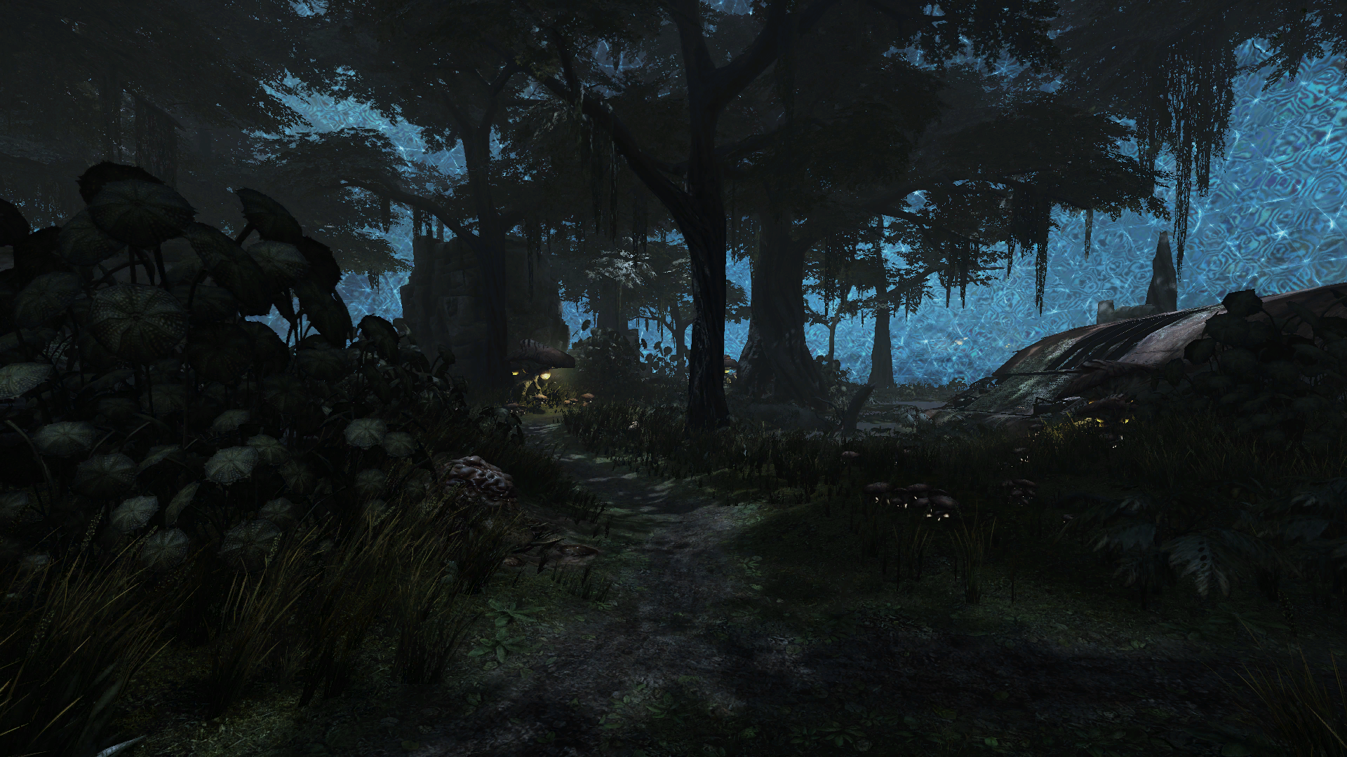 arena forest ruins