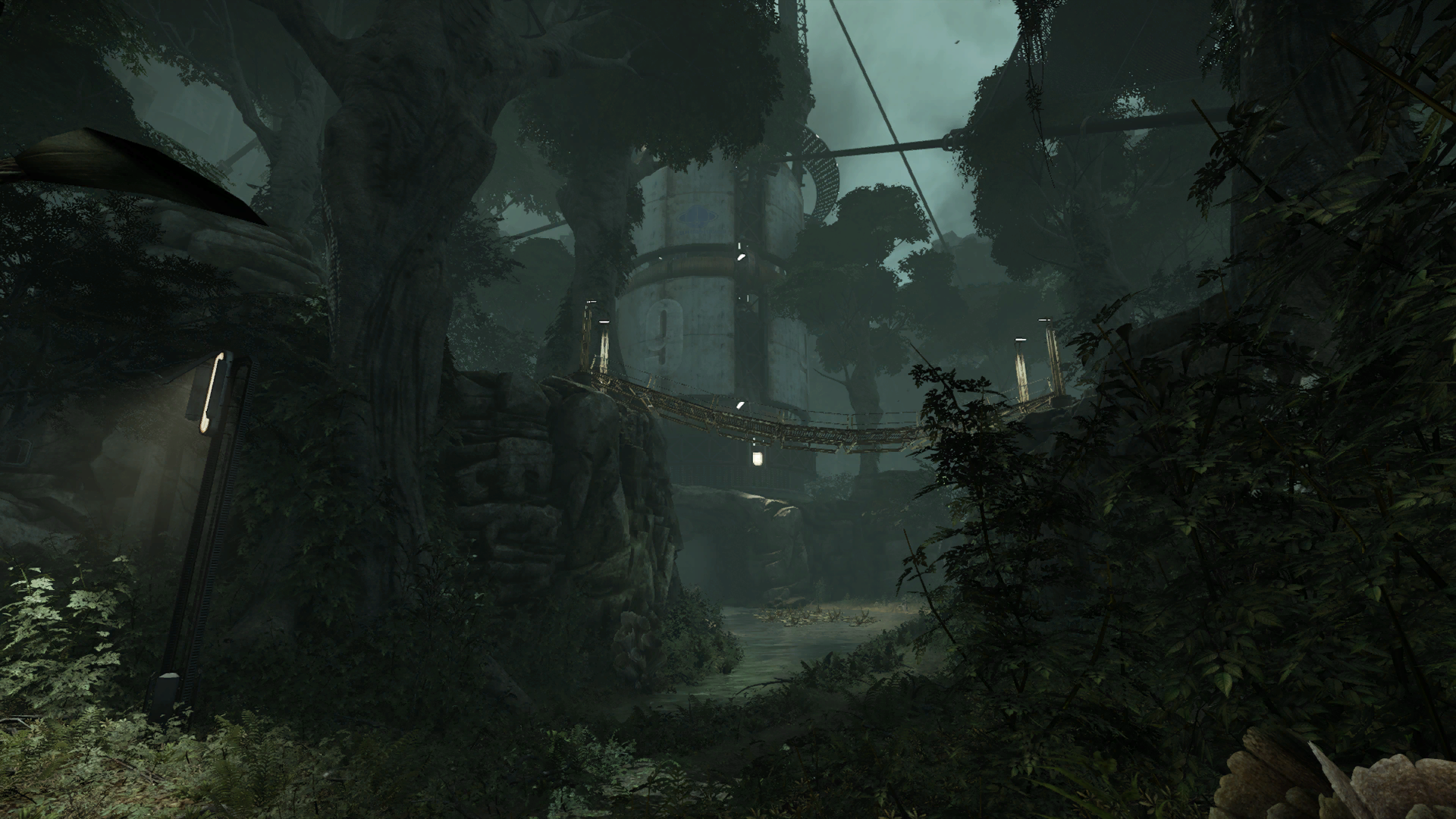 load forest cliffs
