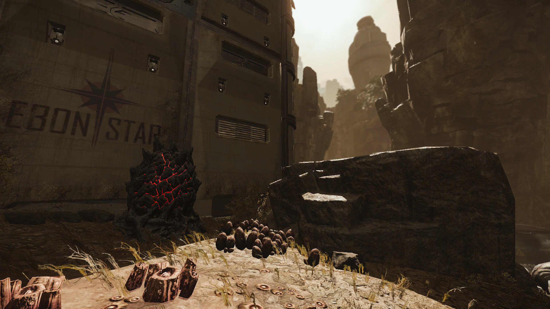 nest desert harsh