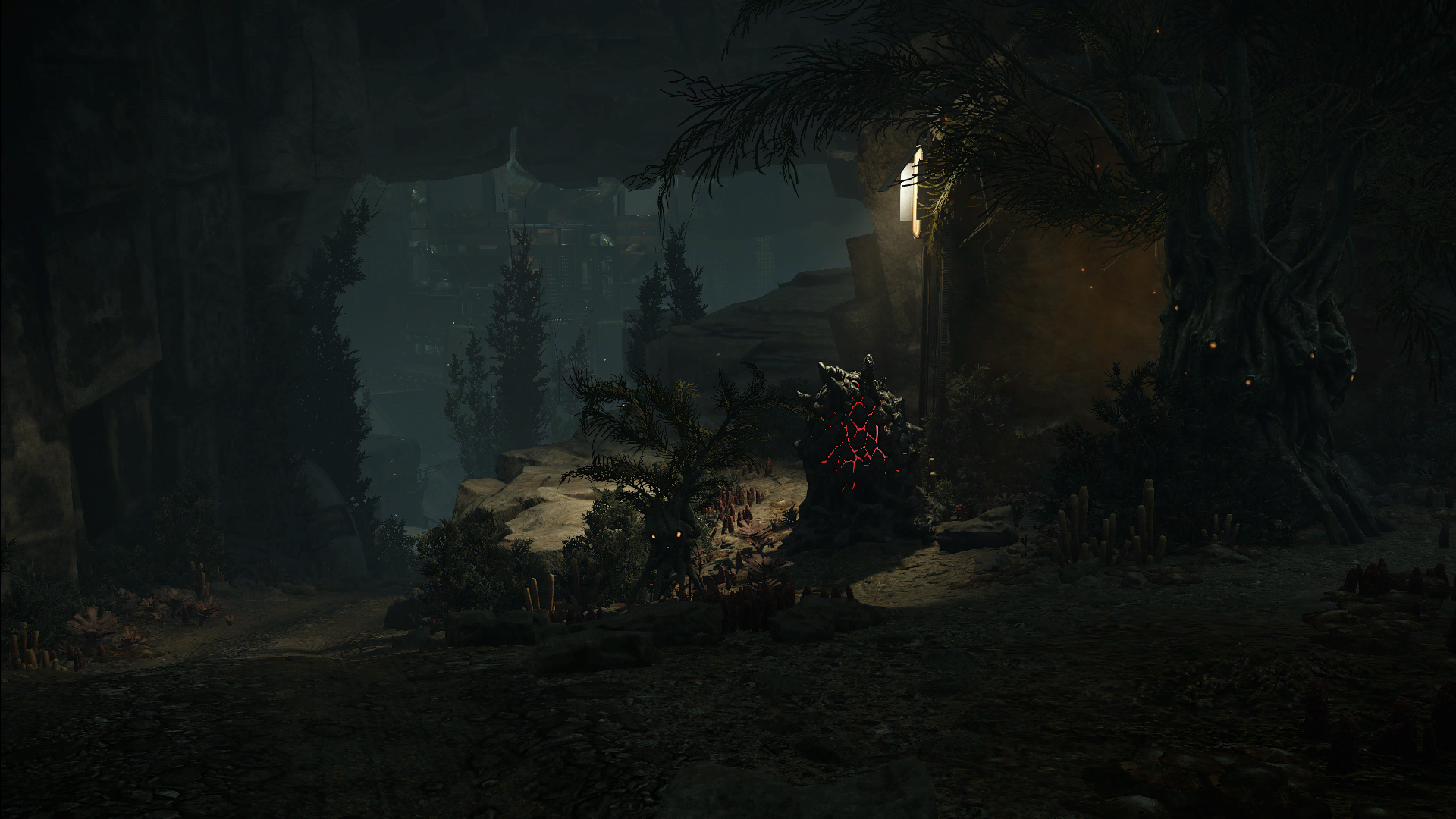 nest forest cliffs