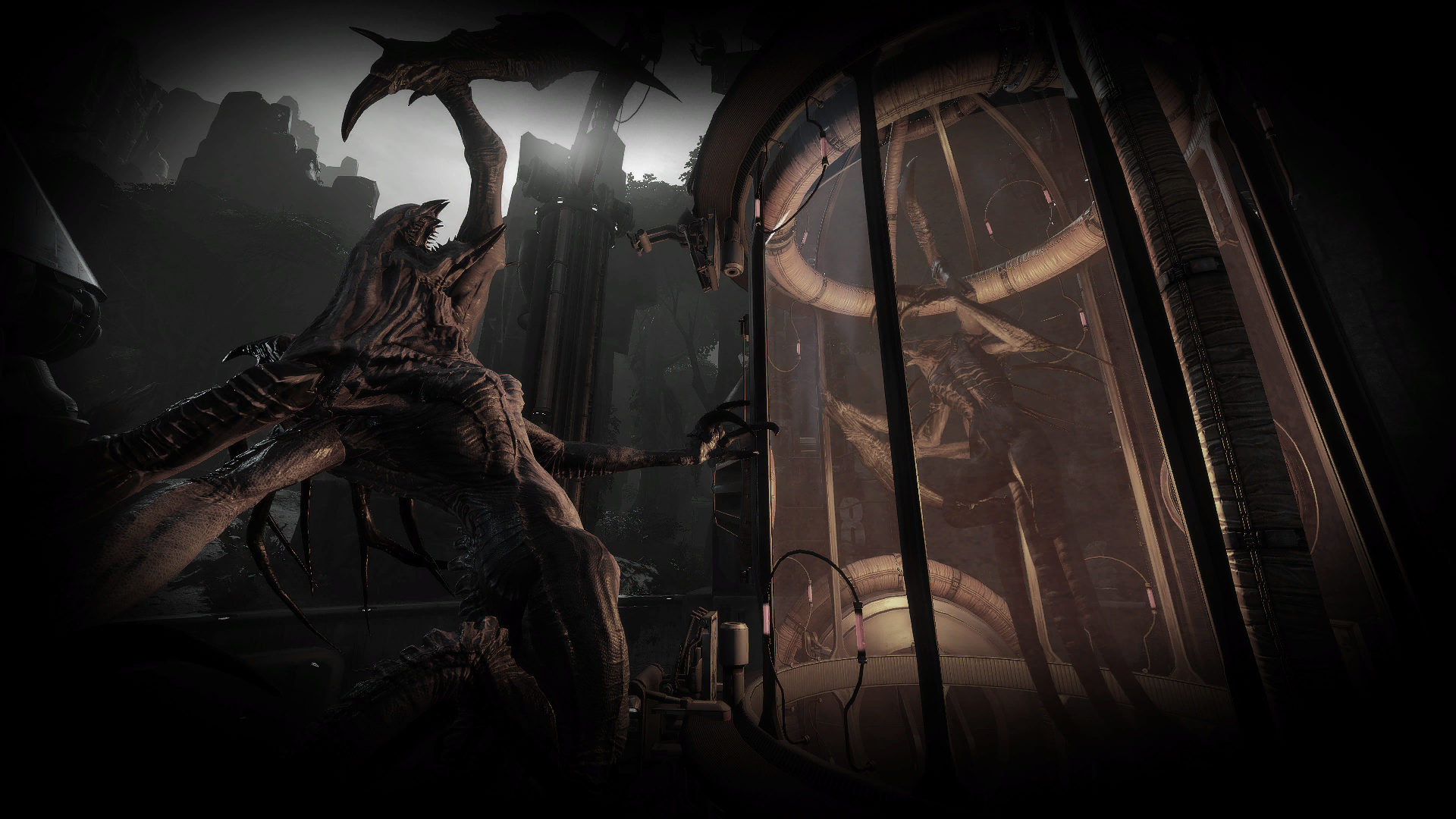 wraith bg11