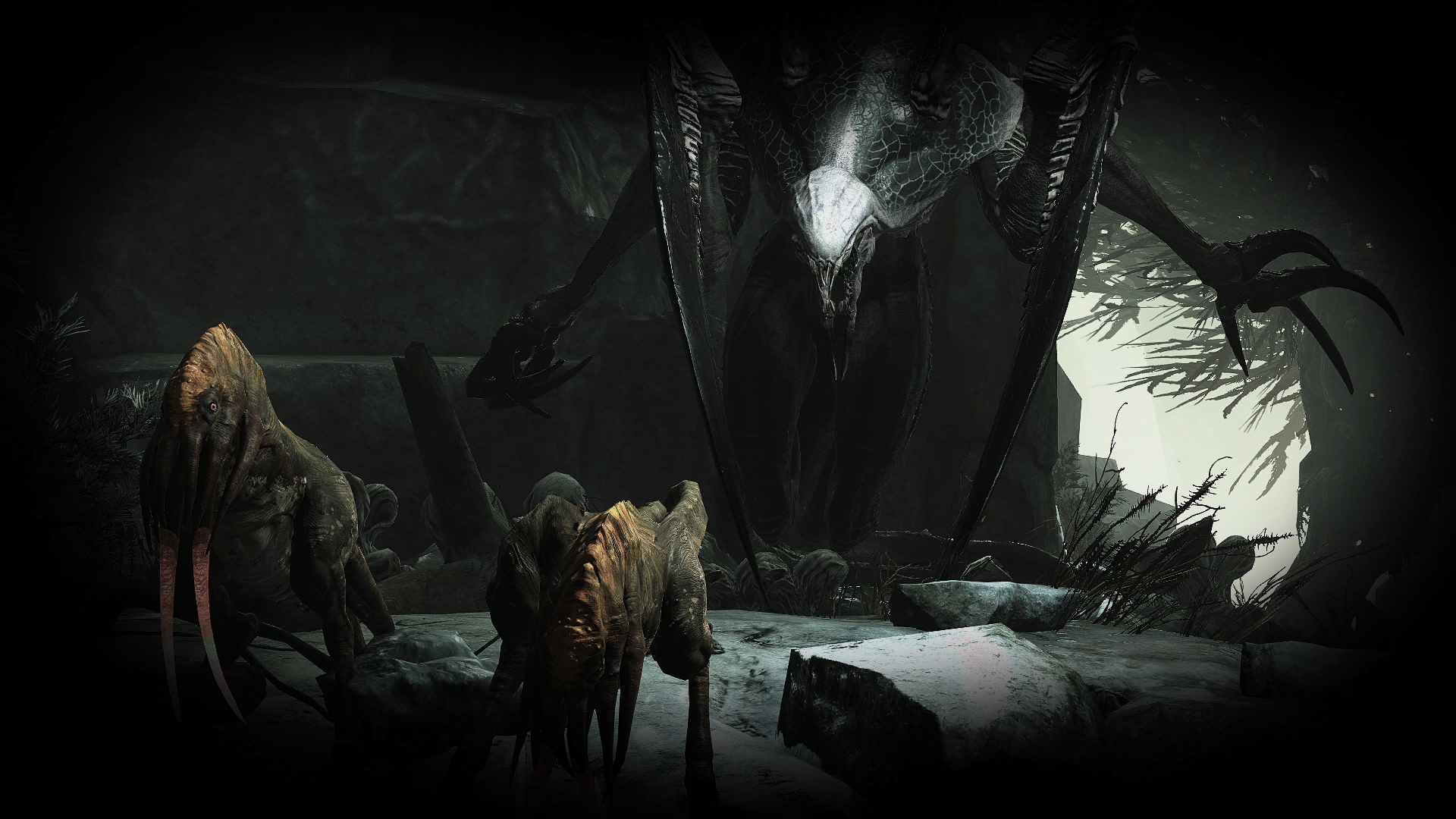 wraith bg5