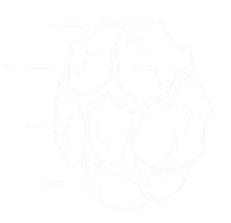 Traversal