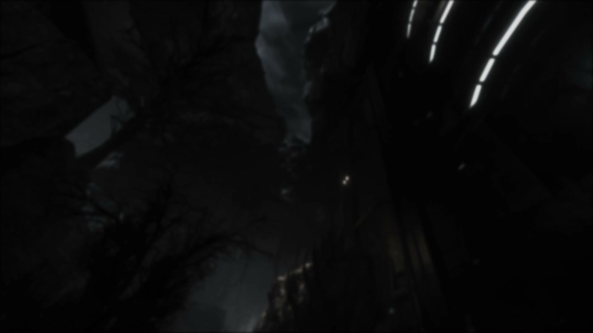 fullscreen bg loop2