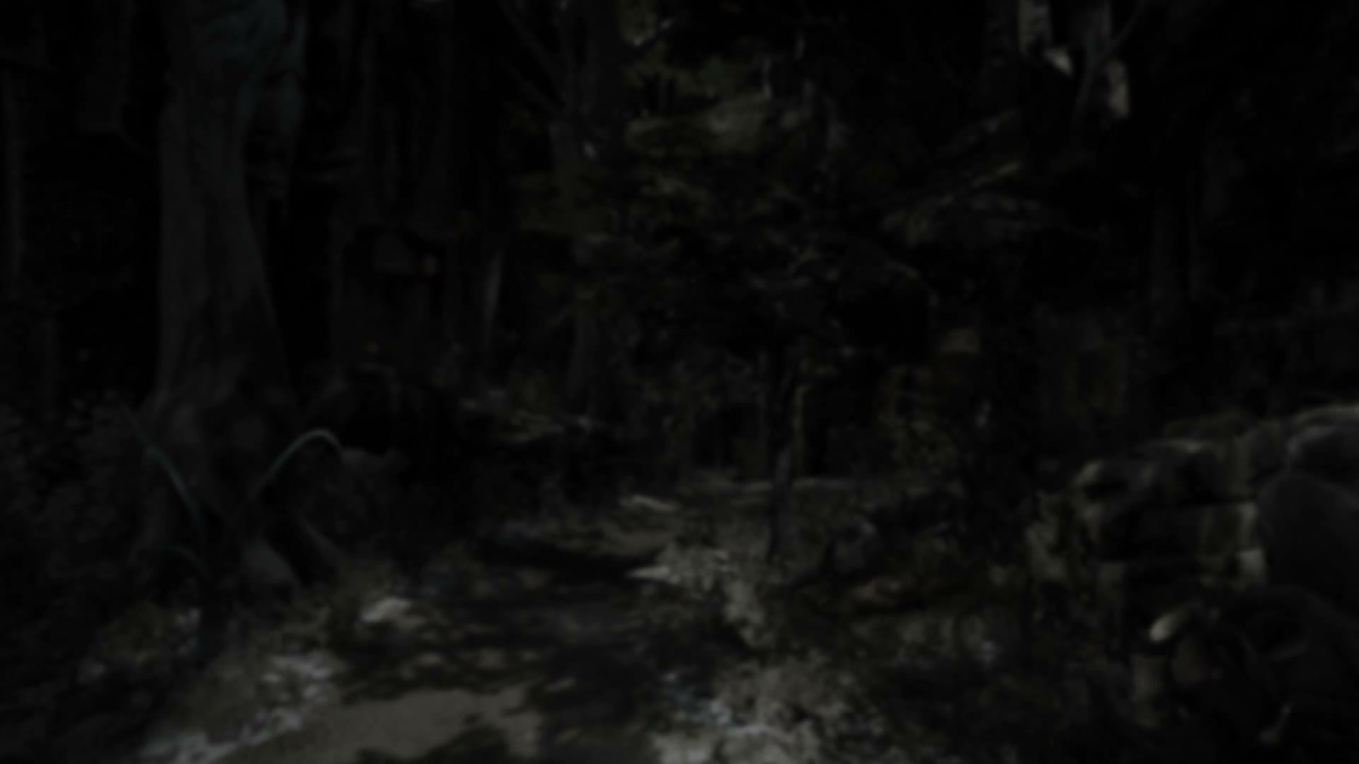 fullscreen bg loop3