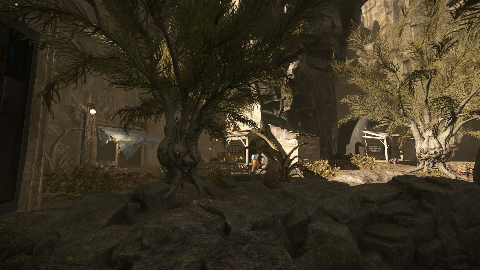 lobby desert harsh