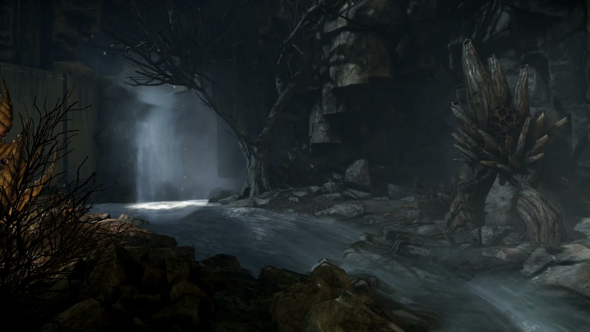 lobby forest rapids