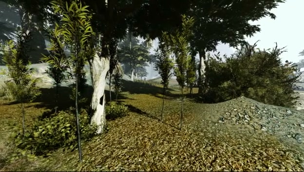 forest map 624w